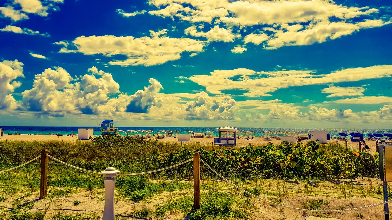 Let go to the beach in Miami. Photo by Pedro Kariak.