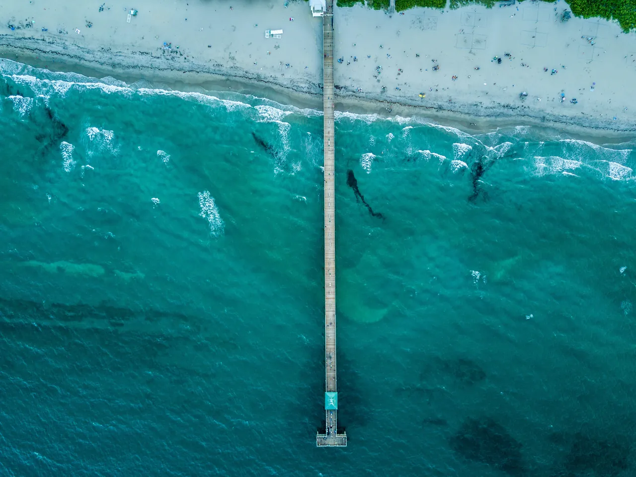 Sharks swimming in the water by the dock seen from above. Photo by Luiz Cent.